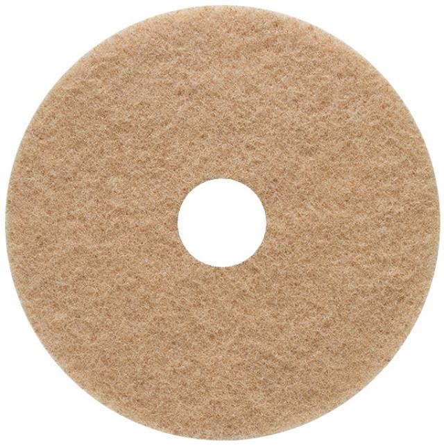 Rental store for PAD, 17  TAN BUFF in Monroe WA